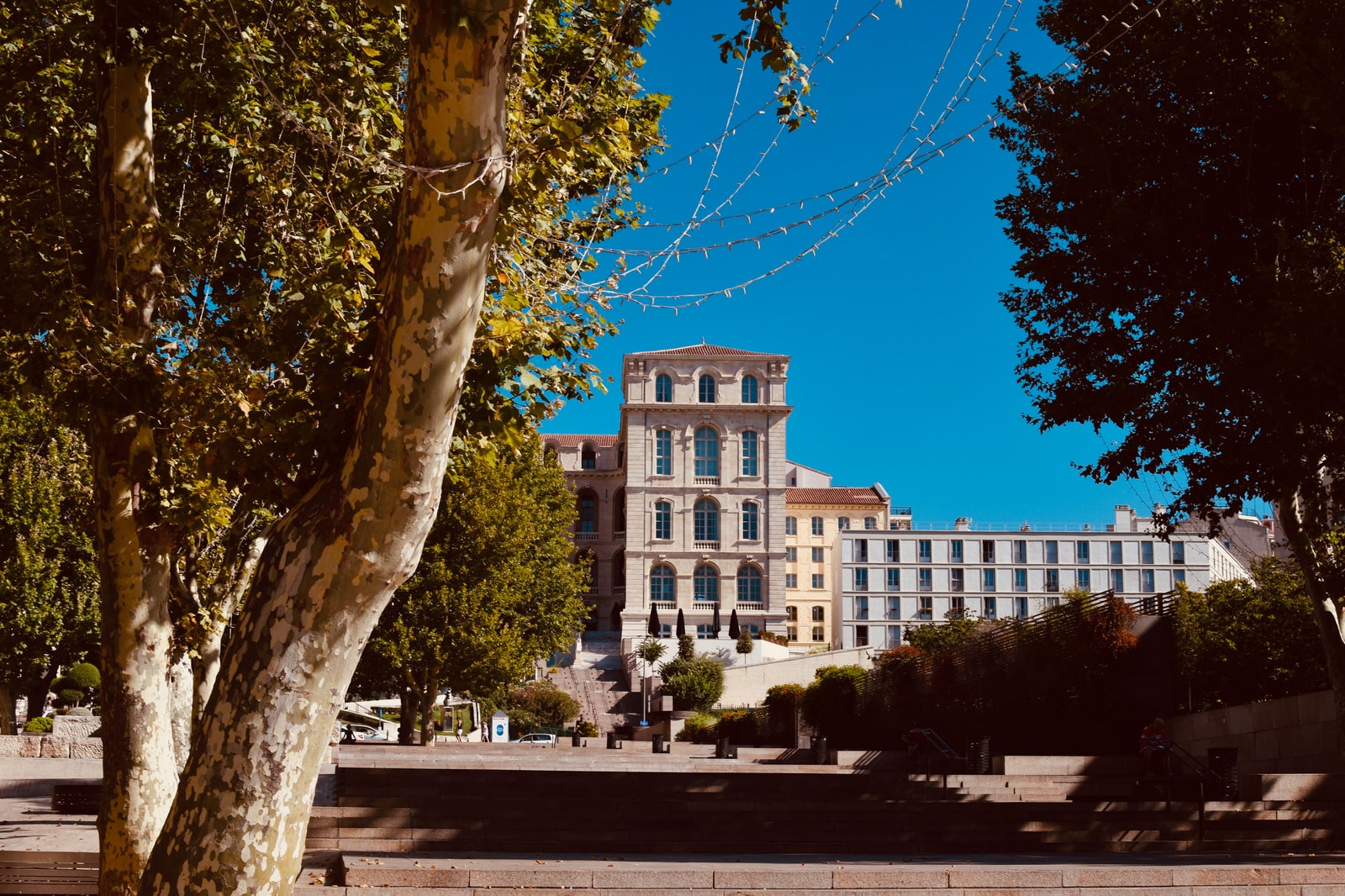 Meeting the needs of students and higher education with Salesforce