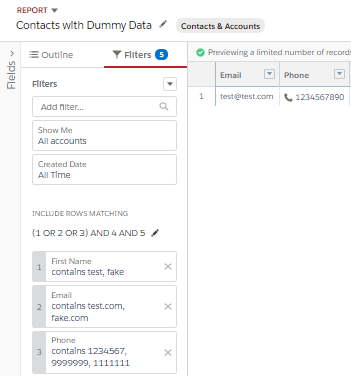 How to build dummy data contact report