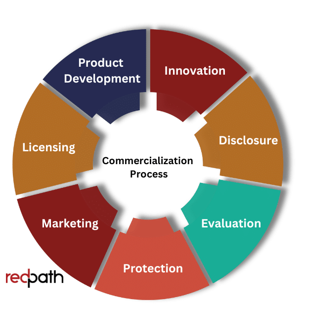 graphic showing 7 stages of commercialization lifecycle